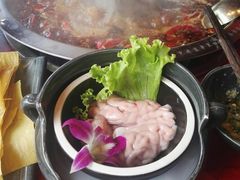 -谭鸭血老火锅(漳州路店)