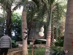 -呀路古热带植物园
