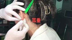 -AI艾耳·专业手工耳洞·穿孔美学馆