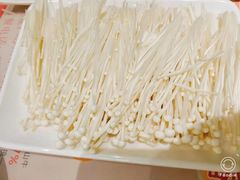 金针菇-古乐牛香·鲜牛肉牛杂火锅(新区店)