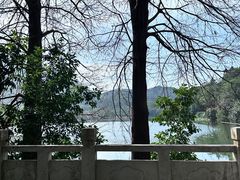 -深圳仙湖植物园