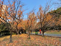 -苏州河梦清园环保主题公园