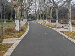 -泰州凤城河风景区-泰山公园