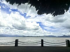 -深圳湾公园(南山区)
