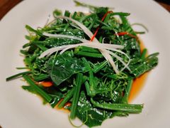 山茶油丝瓜尖-清水亭湖北菜(大屯DT51店)