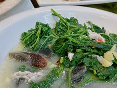 -凤厨顺德水乡凤味馆(大良锦龙路店)