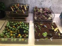 -嘉定凯悦·咖啡厅