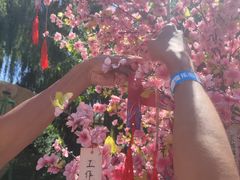 -水上乐园·欢乐世界