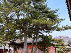 -五台山风景名胜区