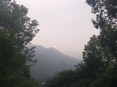 -南山植物园