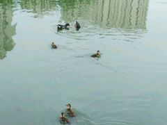 -前关湿地公园