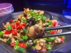 -蛙来哒(友谊阳光城店)