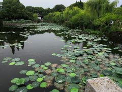 -无锡蠡湖国家湿地公园-蠡园