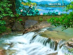 -广州白江湖森林公园