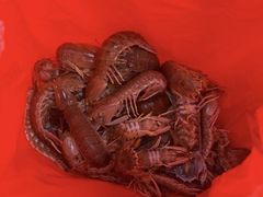 -韩家墅海吉星农产品批发市场