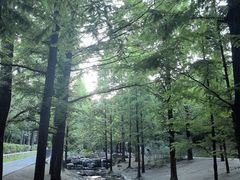 -白水寺森林公园