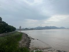 -江心屿景区