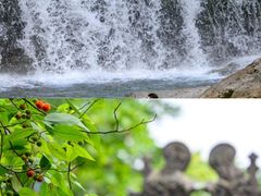 -光雾山旅游景区