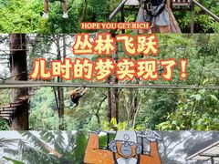-清迈丛林飞跃 JungleFlight
