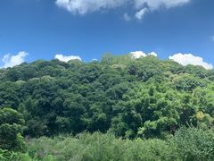 -广州市白云山风景名胜区