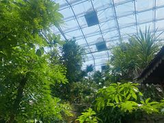 -北京植物园-展览温室