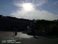 -福田体育公园