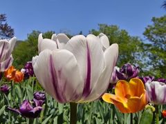 -国家植物园南园