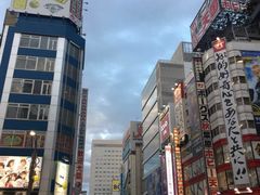 -秋叶原电器街