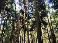 景点-摩围山景区