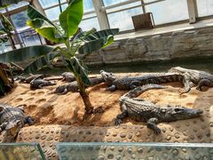 -石家庄市动物园