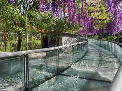 -桃花岭景区