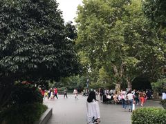 -运河游船(武林门码头)