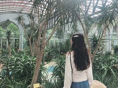 -深圳仙湖植物园-停车场