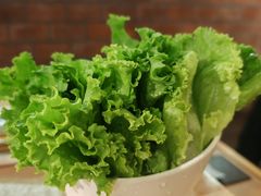 生菜-霸腹烤肉(厦门柚子番店)