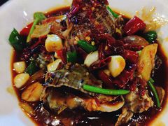 辣炒香螺-西街夜油条·麻团包乌饭