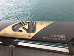 -星光大道