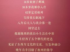 -安阳博物馆