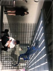 -斑斓色彩沙龙