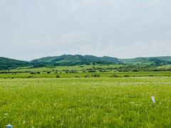 -乌兰布统草原