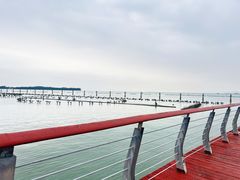 -苏州东太湖生态园