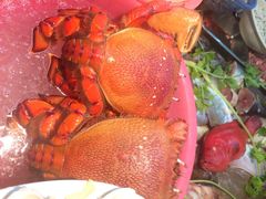 iphone_upload_pic-老三鱼仔店