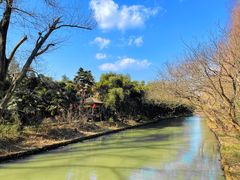 -同里国家湿地公园