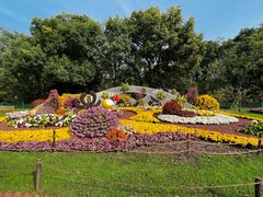 -上海共青森林公园