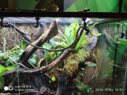 -酷嗒动物文化乐园(cutezoo西溪乐天城店)