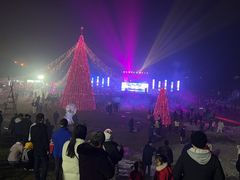 -大塘金香草谷