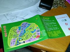 -广东茂名森林公园