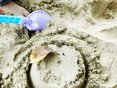 -上海佘山世茂艾美酒店