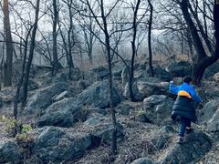 -阳台山自然风景区