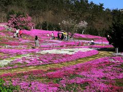 -棒棰岛宾馆景区