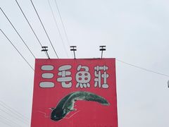 -三毛鱼庄(威连路店)